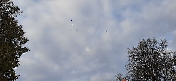Luftballon.jpg 
